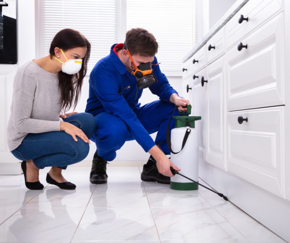 Pest-Proofing Your Home Before Summer