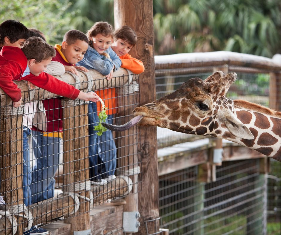 Your School Holiday Survival Guide