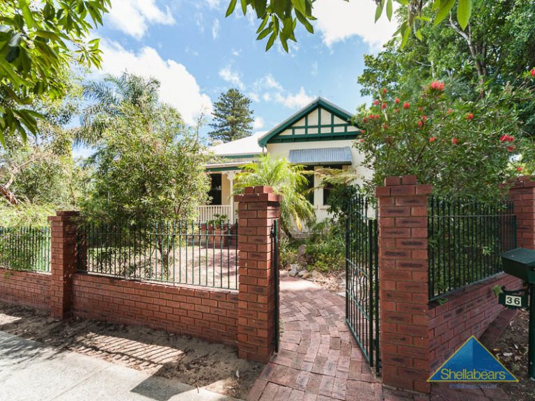 36 Harvey Street gallery