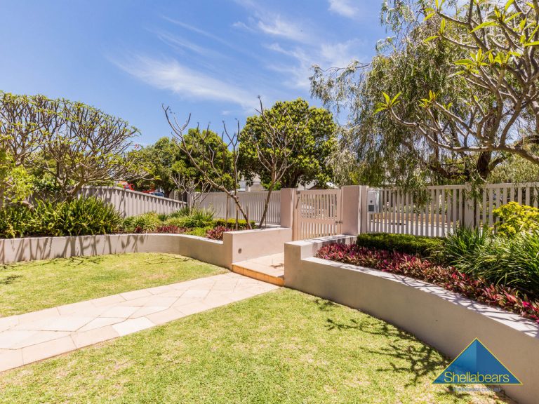 5 Harvey Street gallery