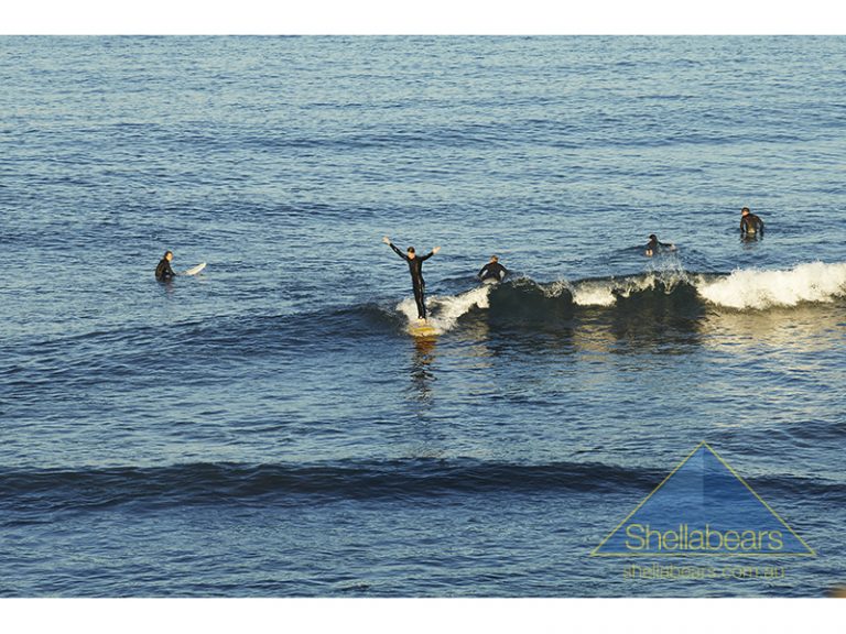 12/15 Overton Gardens gallery