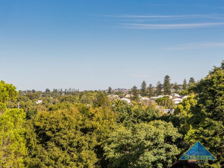 Unit 3 and 4 58 Forrest Street gallery