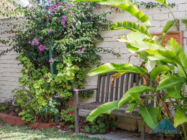 30 Macarthur Street gallery