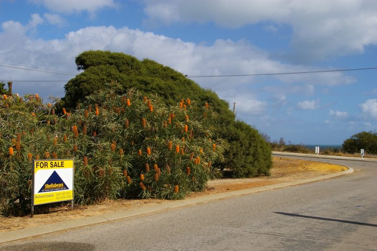 48 Mortimer Road gallery