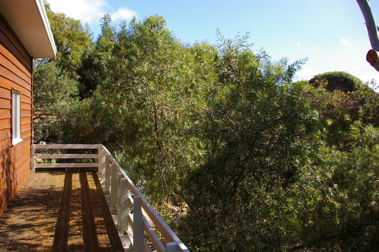 48 Mortimer Road gallery