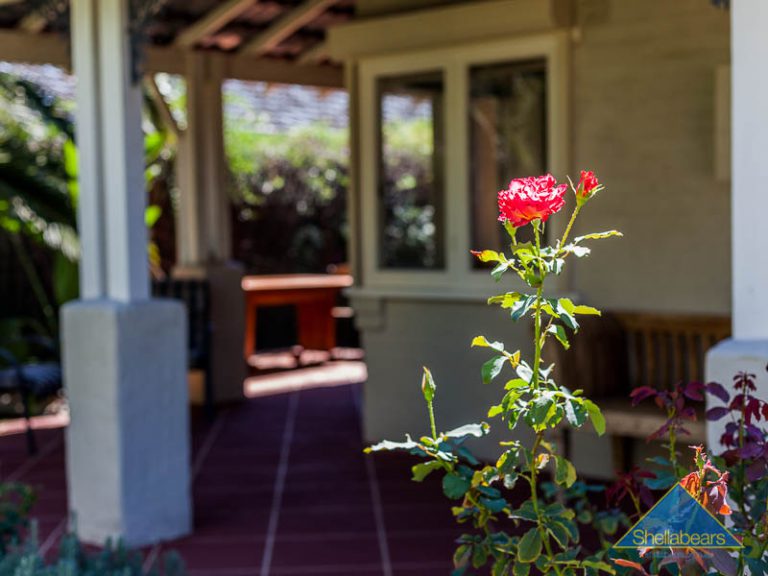 7 Kooyong Road gallery