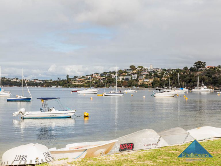 1/1 Johnson Parade gallery