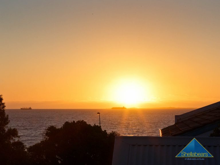 8 Sydney Street gallery