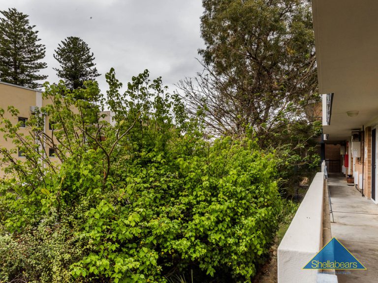 114/14 McNamara Way gallery