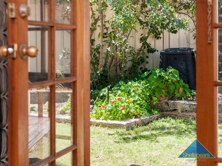 53 Palmerston Street gallery