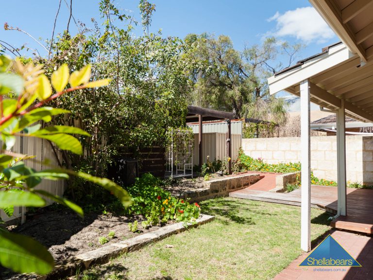 53 Palmerston Street gallery