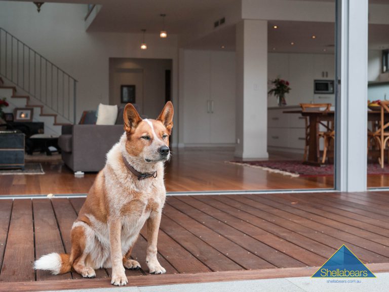 28 Gill Street gallery