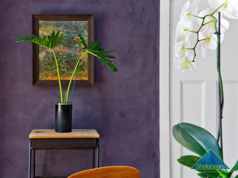 17 Langsford Street gallery