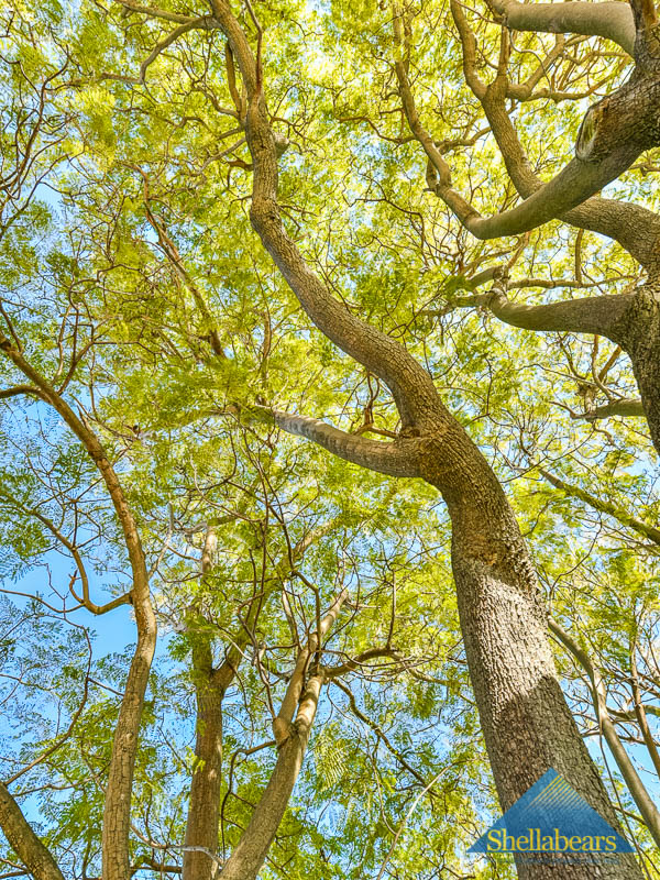 6 Federal Street gallery