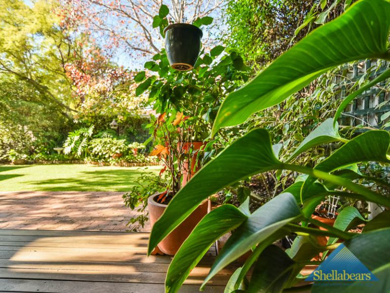 6 Federal Street gallery