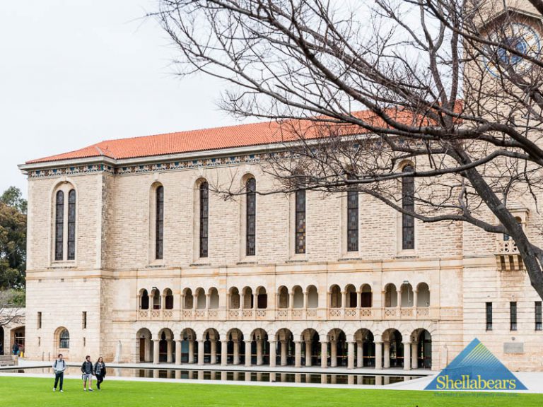 4/101 Smyth Road gallery