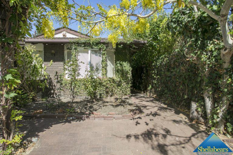 14 Caxton Road gallery