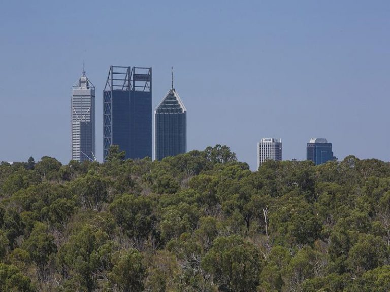 28/3 Park Avenue gallery