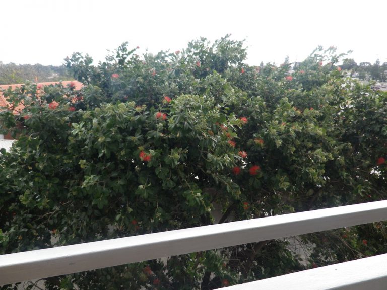 21/27 St Lenonard gallery