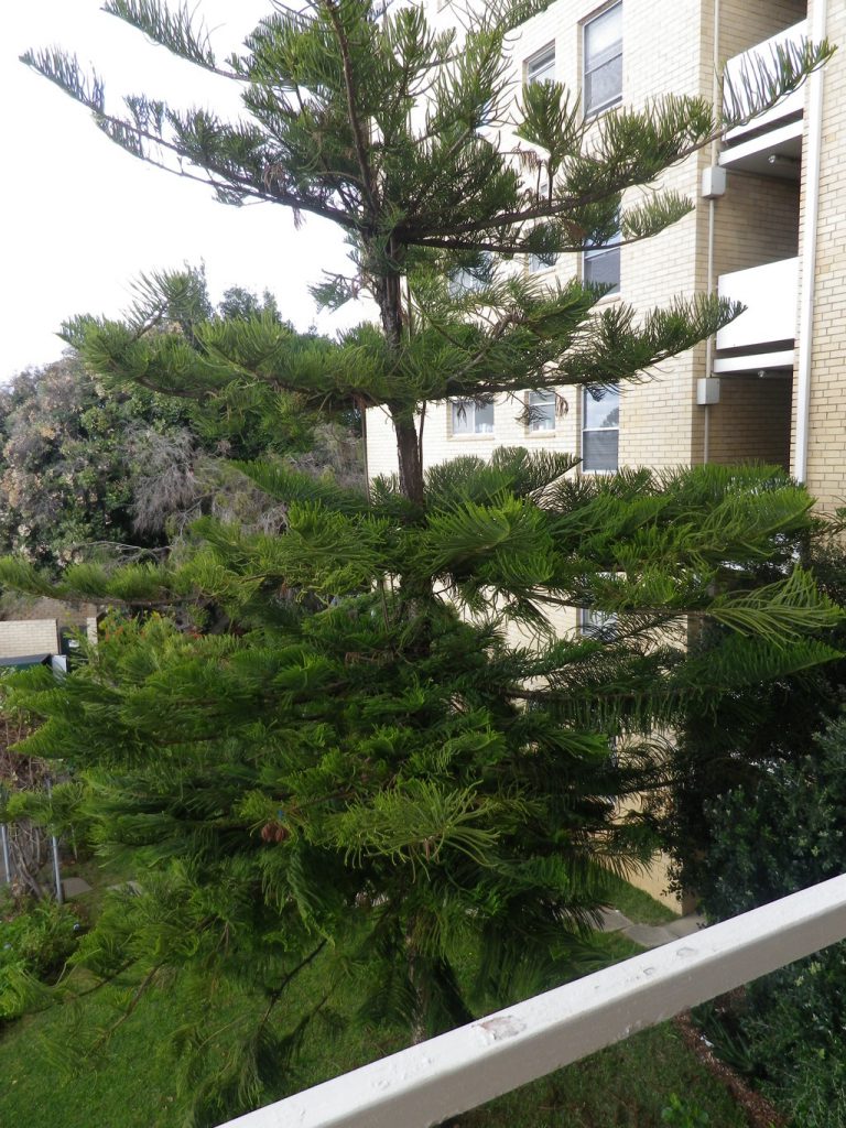 21/27 St Lenonard gallery