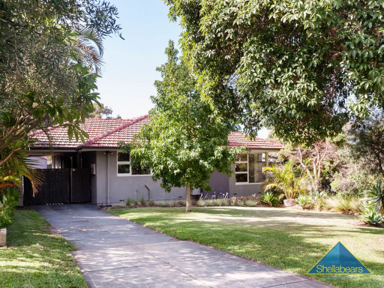 11 Guy Place gallery