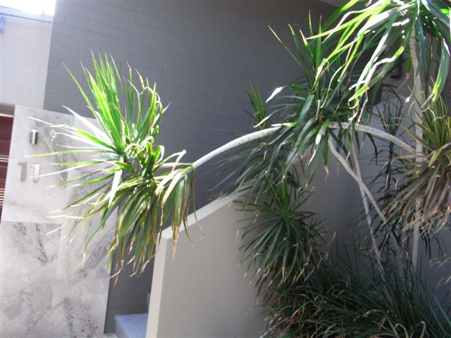 11/134 Marine Parade gallery