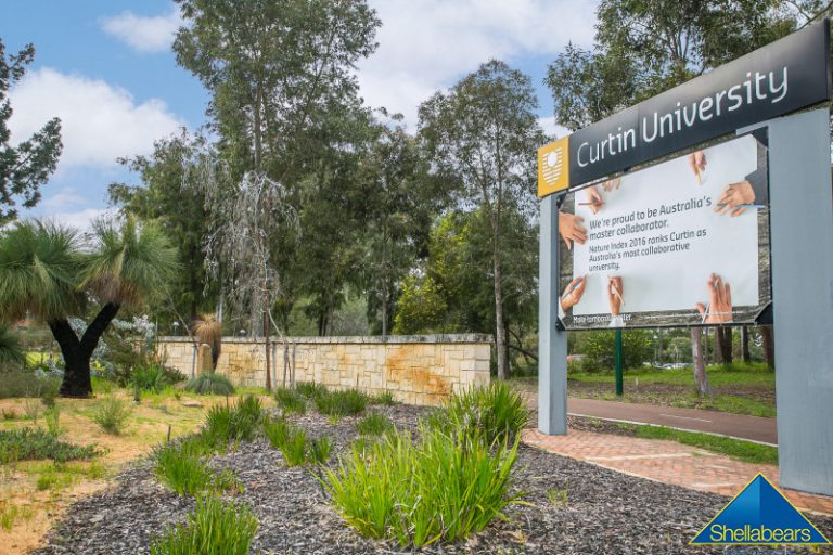 14 Conlon Street gallery