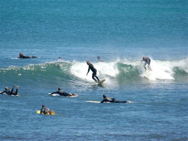 203/14 McNamara Way gallery