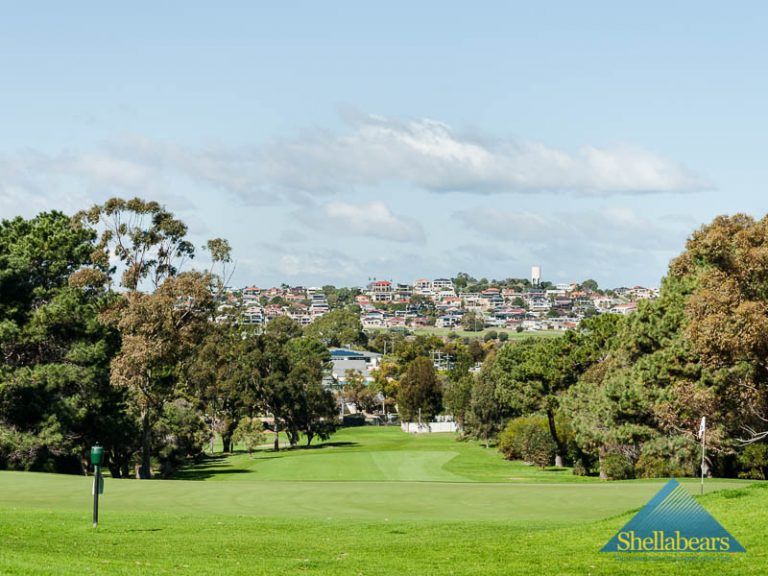 Limited Opportunity! gallery