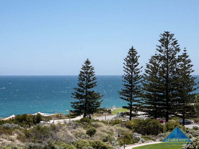 9/1 Hawkstone Street gallery