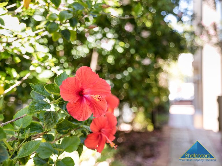 4/183 Broome Street gallery