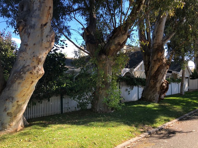 13 Agett Road gallery