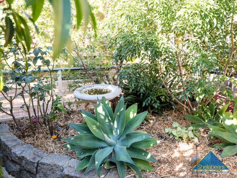 24 Willis Street gallery