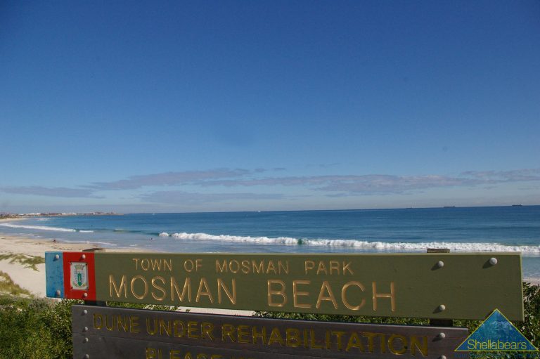 31 Somerset Crescent gallery