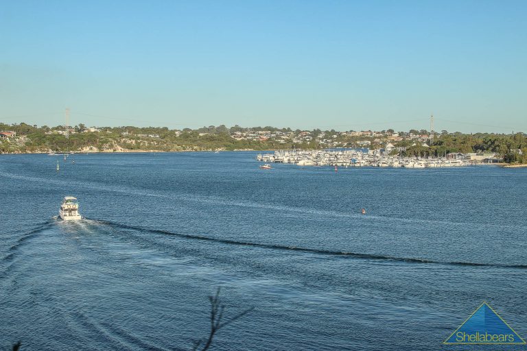 9 Salustri Place gallery