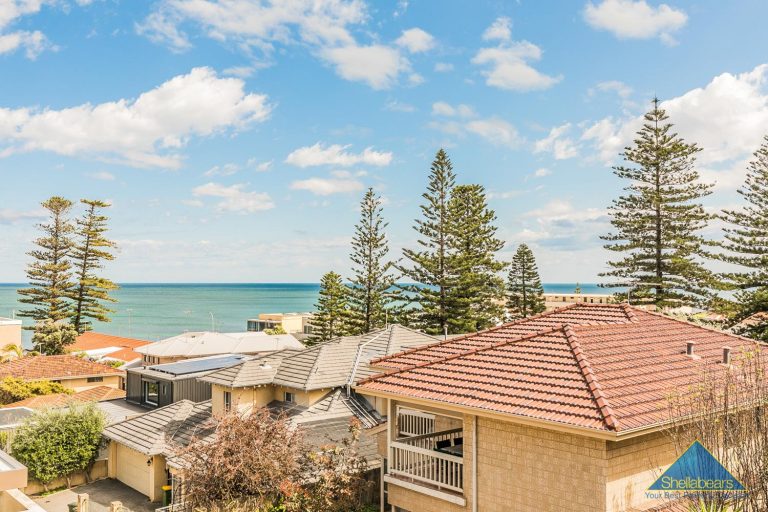 SURFER’S PARADISE! gallery