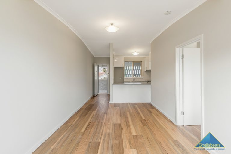 SURFER’S PARADISE! gallery