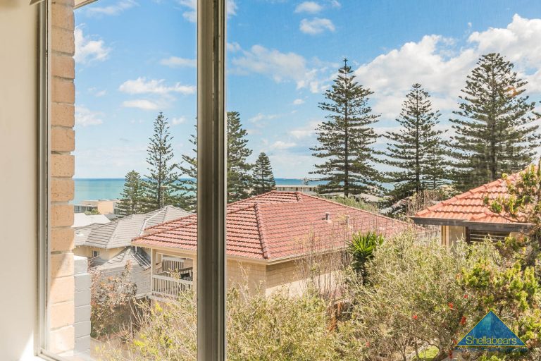 SURFER’S PARADISE! gallery