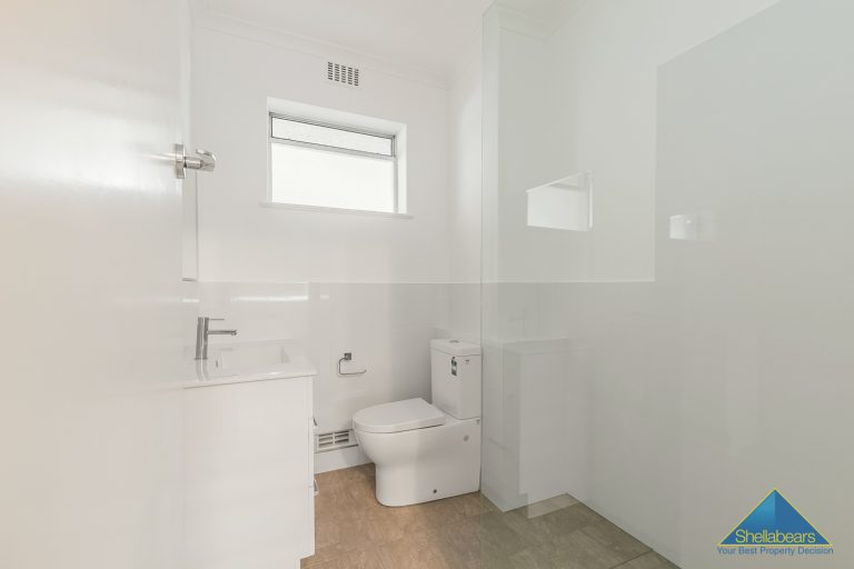 SURFER’S PARADISE! gallery