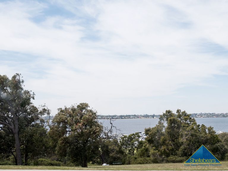 53 Birdwood Parade gallery