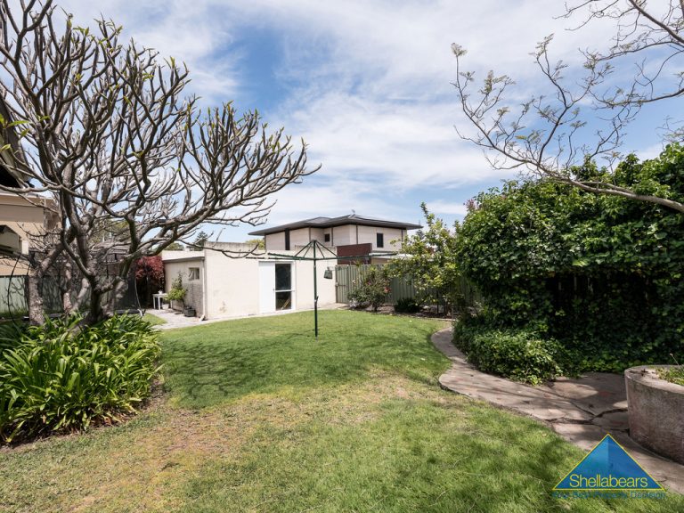 53 Birdwood Parade gallery