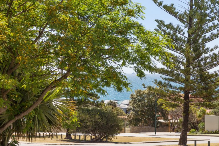 3/187 Broome Street gallery