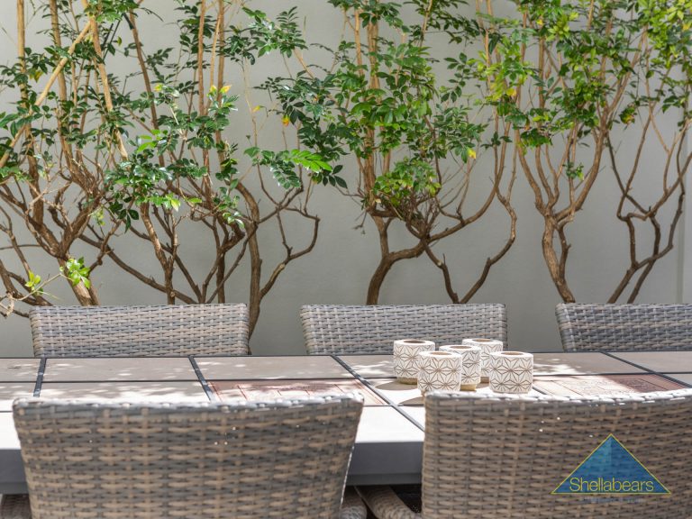 9 Macarthur Street gallery