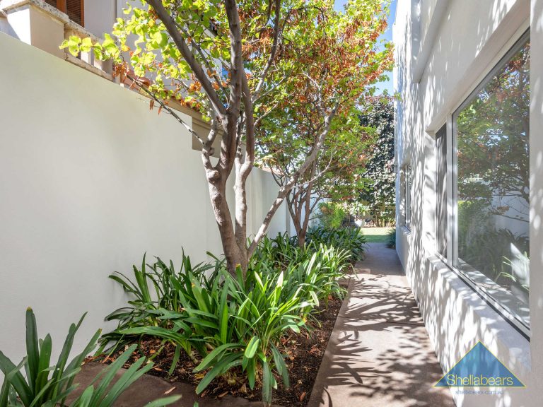 9 Macarthur Street gallery