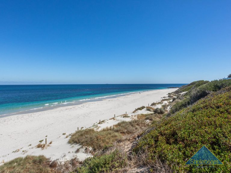 9 Macarthur Street gallery