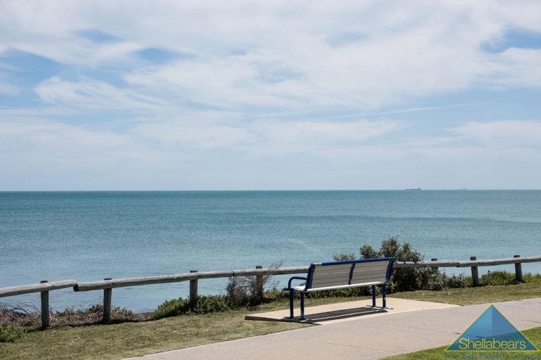‘OZONE NORTH’ gallery