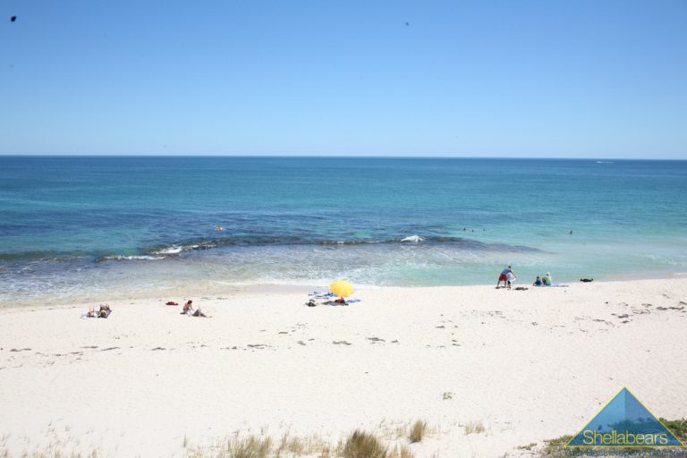‘OZONE NORTH’ gallery