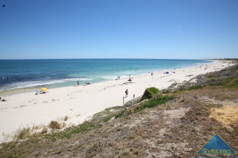 ‘OZONE NORTH’ gallery