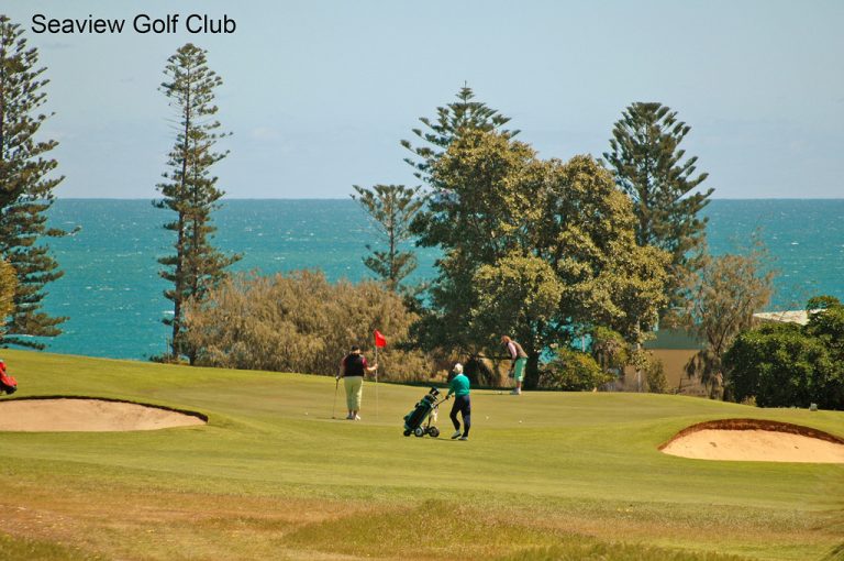 South Cott Style! gallery