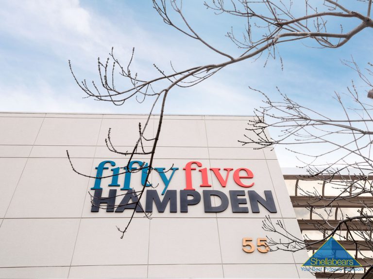 3/55 Hampden Road gallery